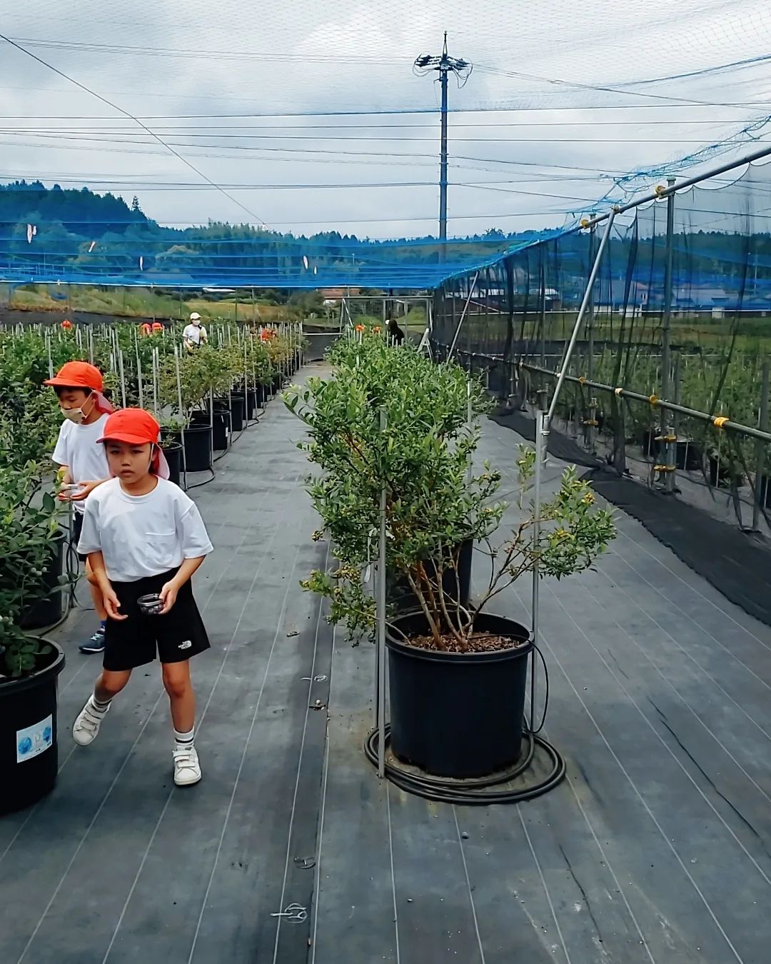 土岐市立濃南小中学校の児童