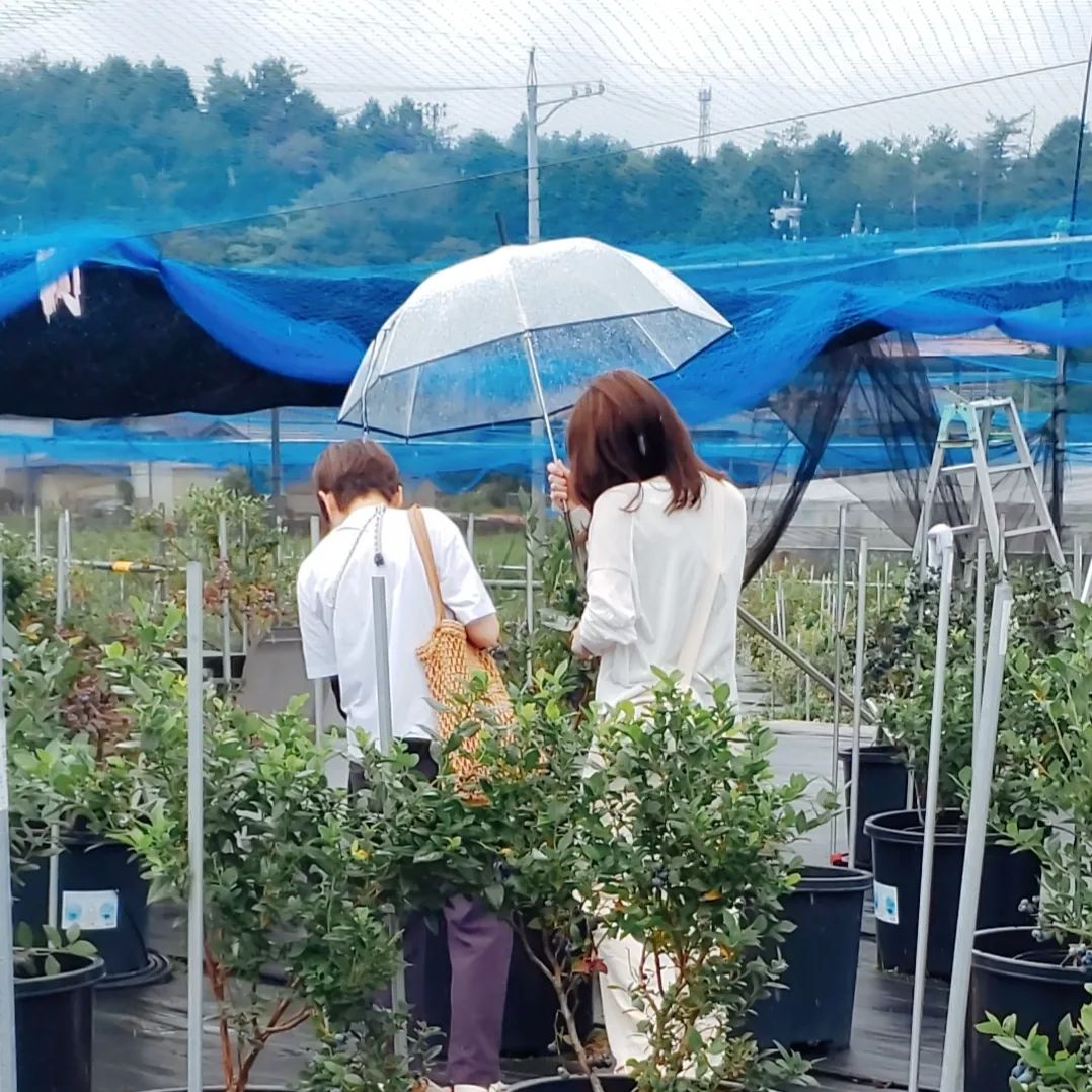 雨のなか、ご来園ありがとうございました❗